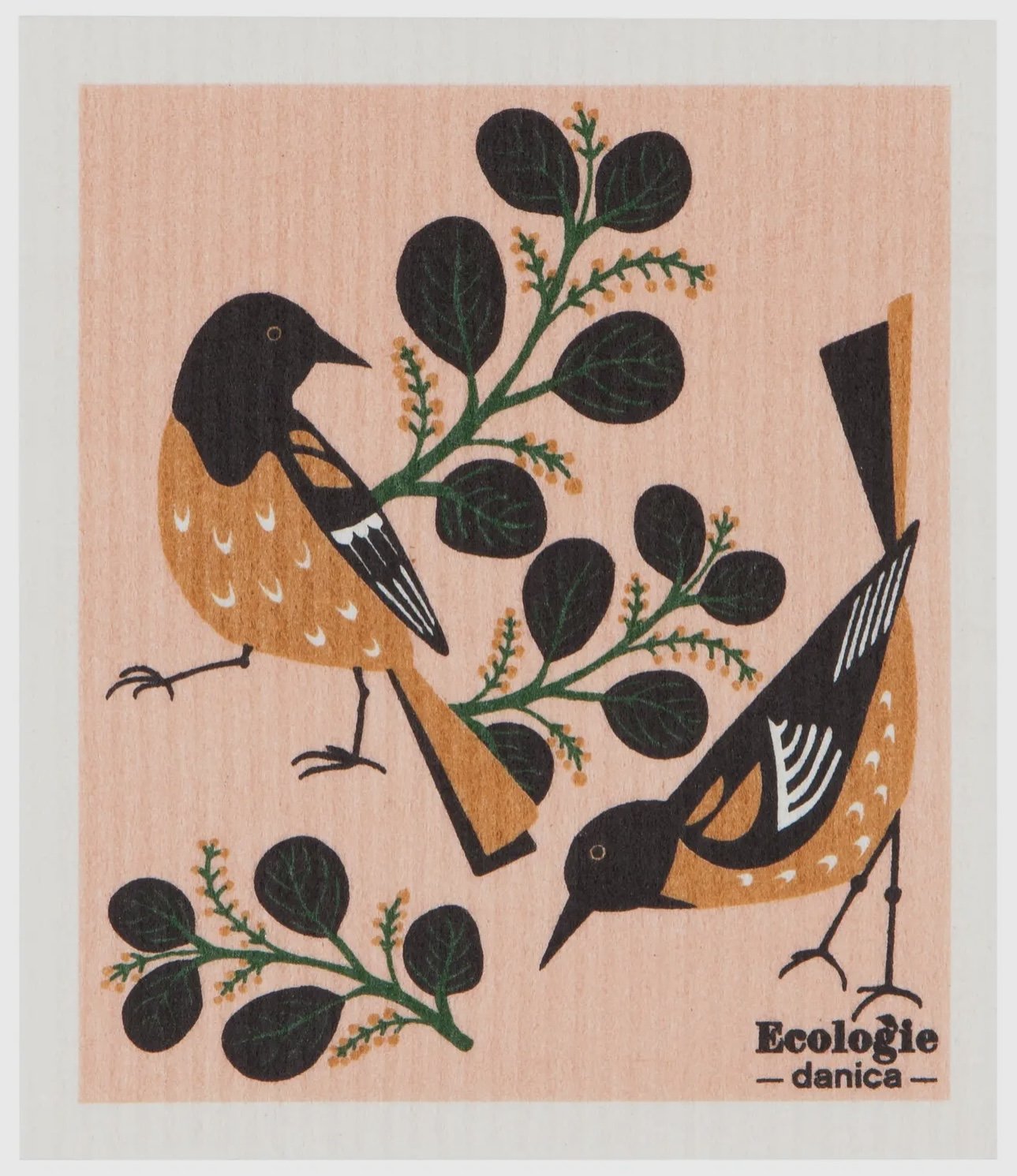Ecologie Dishcloth