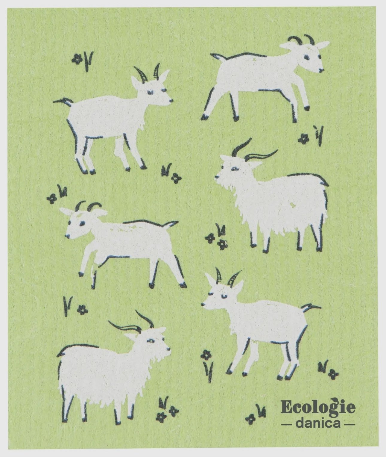 Ecologie Dishcloth