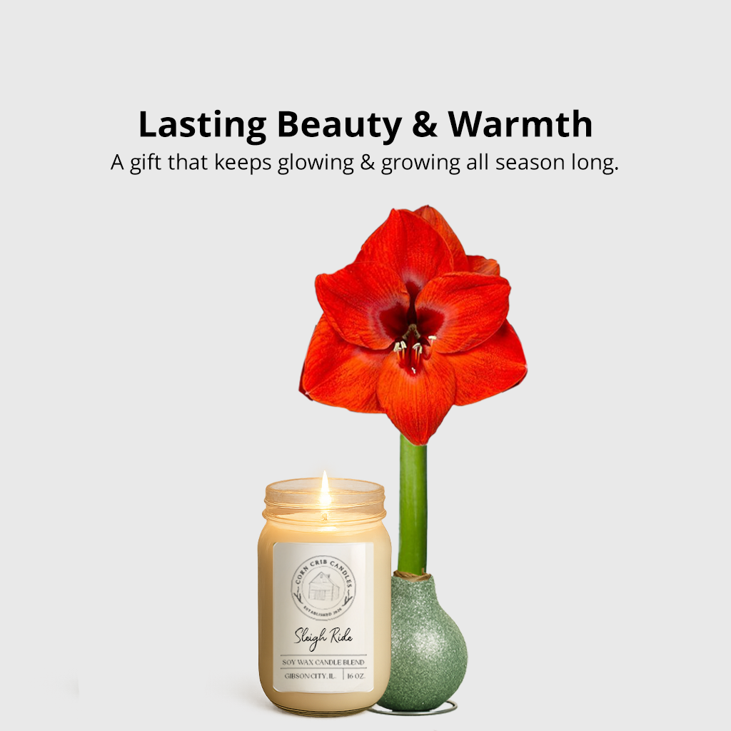 Season’s Glow & Grow Gift Duo - WINTER EDITION