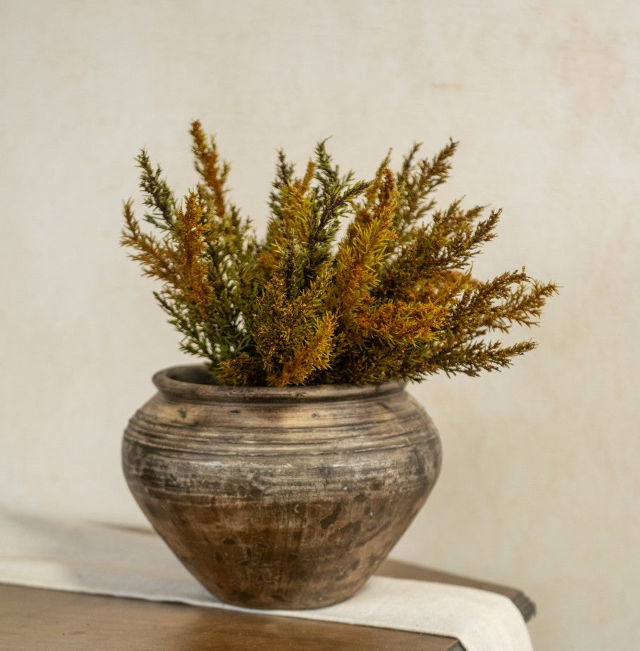 Fall - Stems
