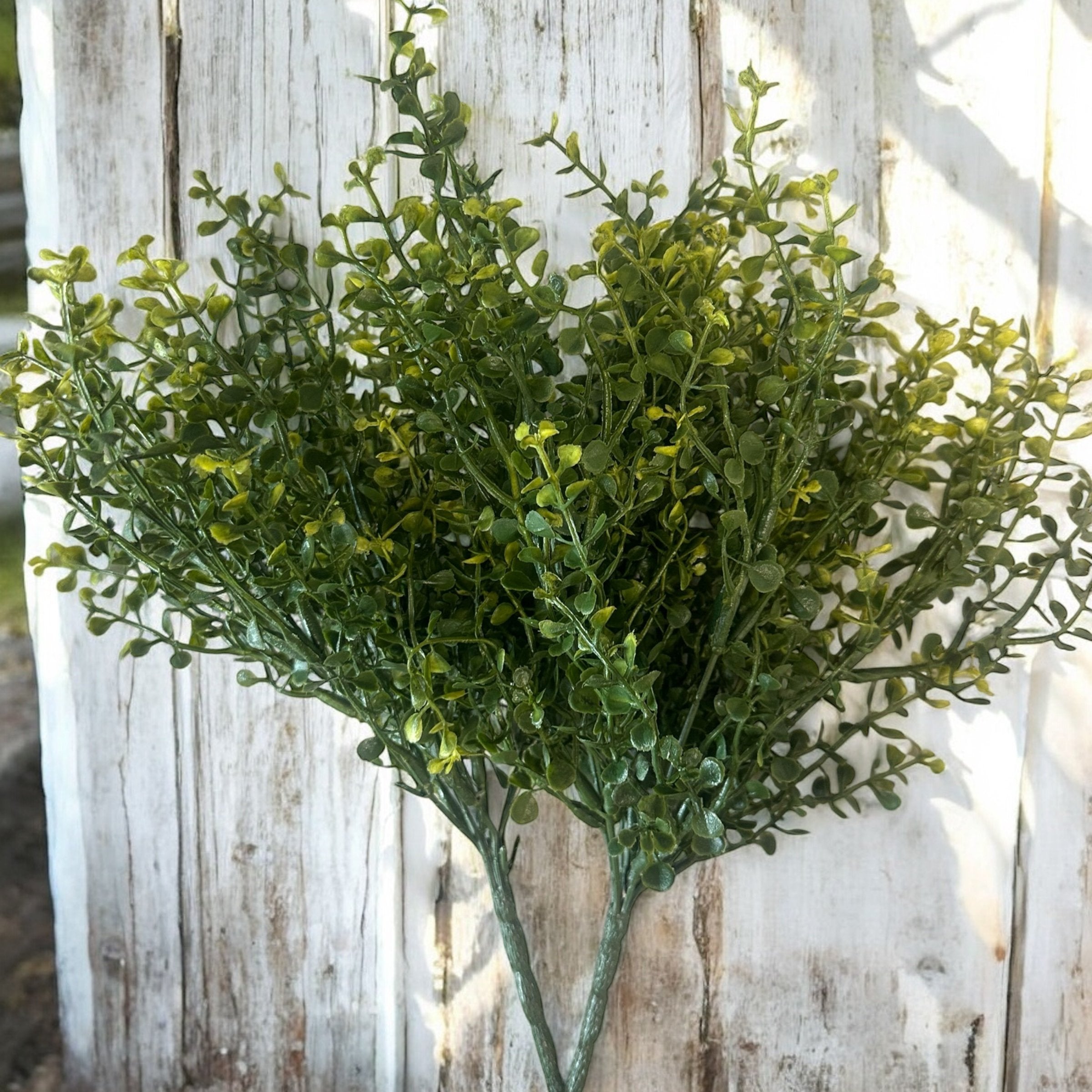 Florals - Stems