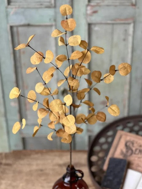 Fall - Stems