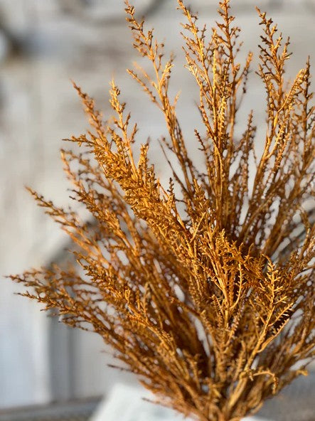 Fall - Stems