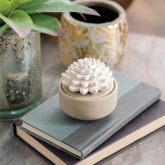 Airome Succulent Porcelain Diffuser