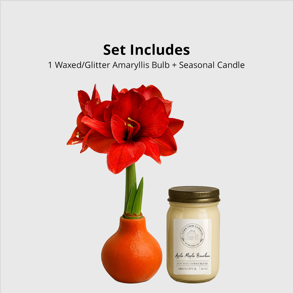 Season’s Glow & Grow Gift Duo - FALL EDITION