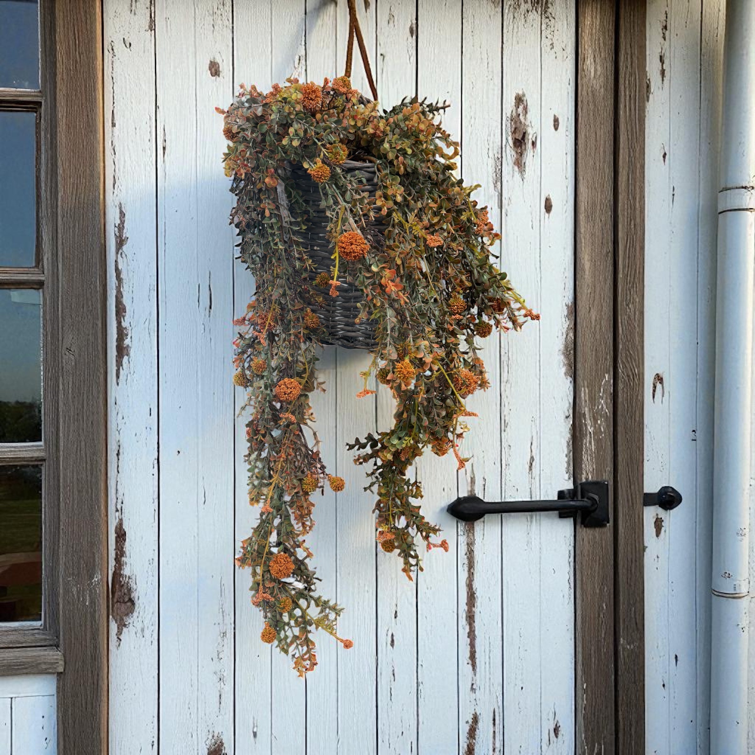 Fall - Stems