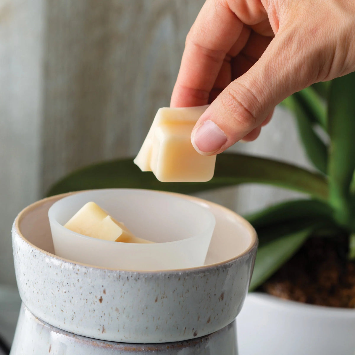 Flip Dish - Corn Crib Candles