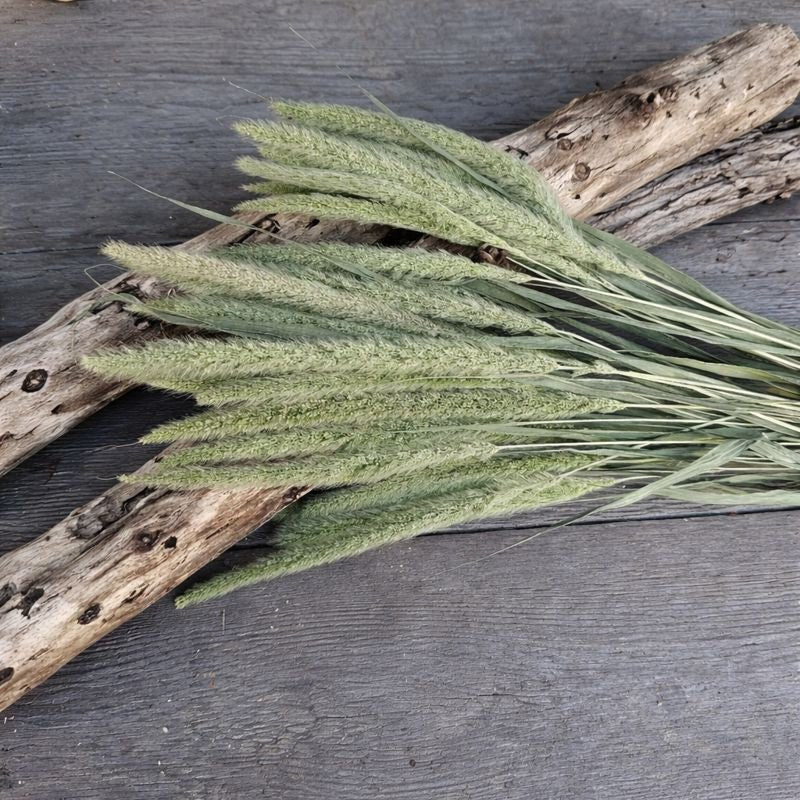 Florals - Stems - Corn Crib Candles