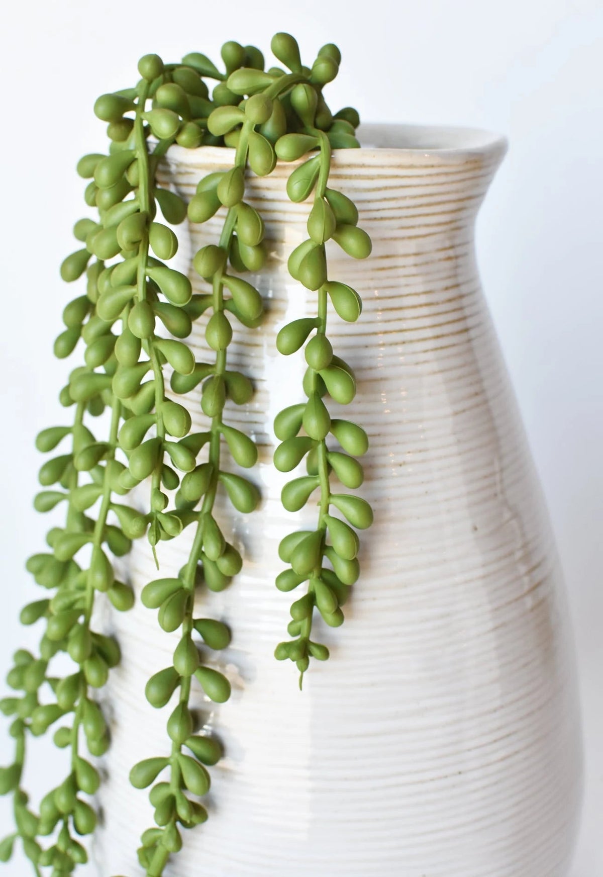Florals - Stems - Corn Crib Candles