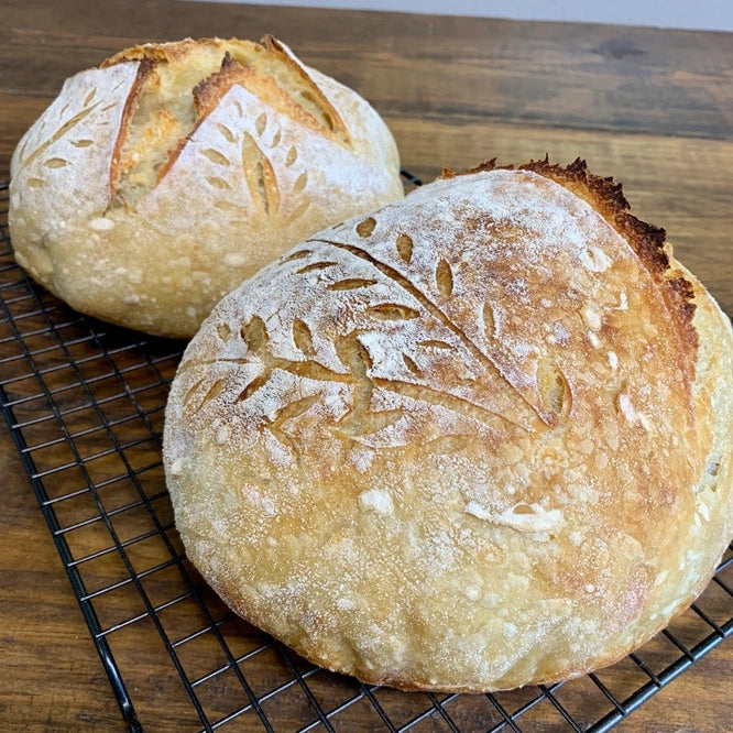 My Rustic Roots SourDough Starter