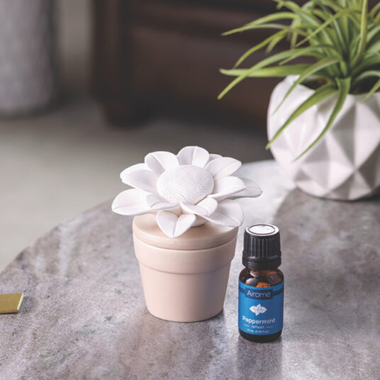 yl succulent diffuser Sunflower Porcelain Passive Diffuser