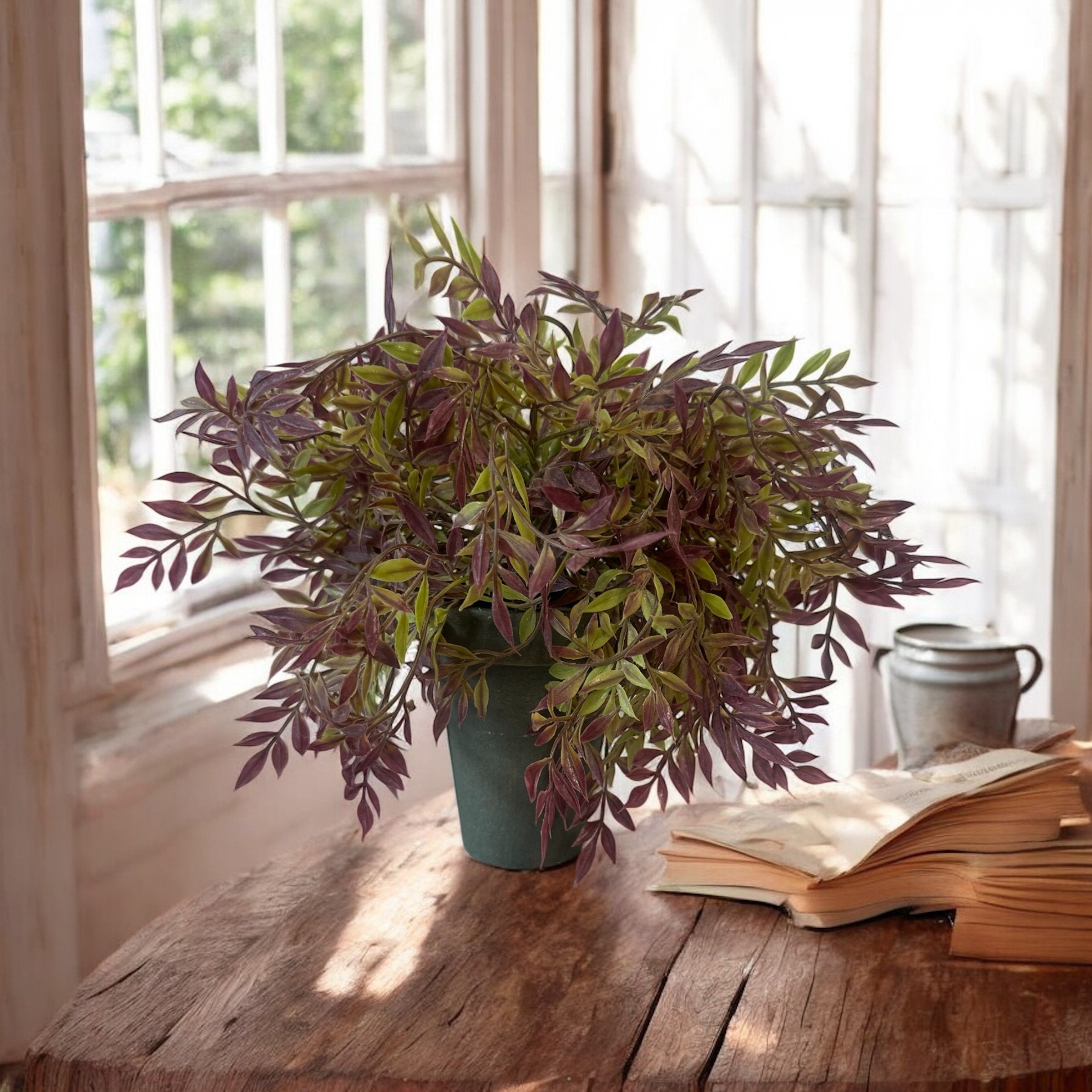 Florals - Potted Plants