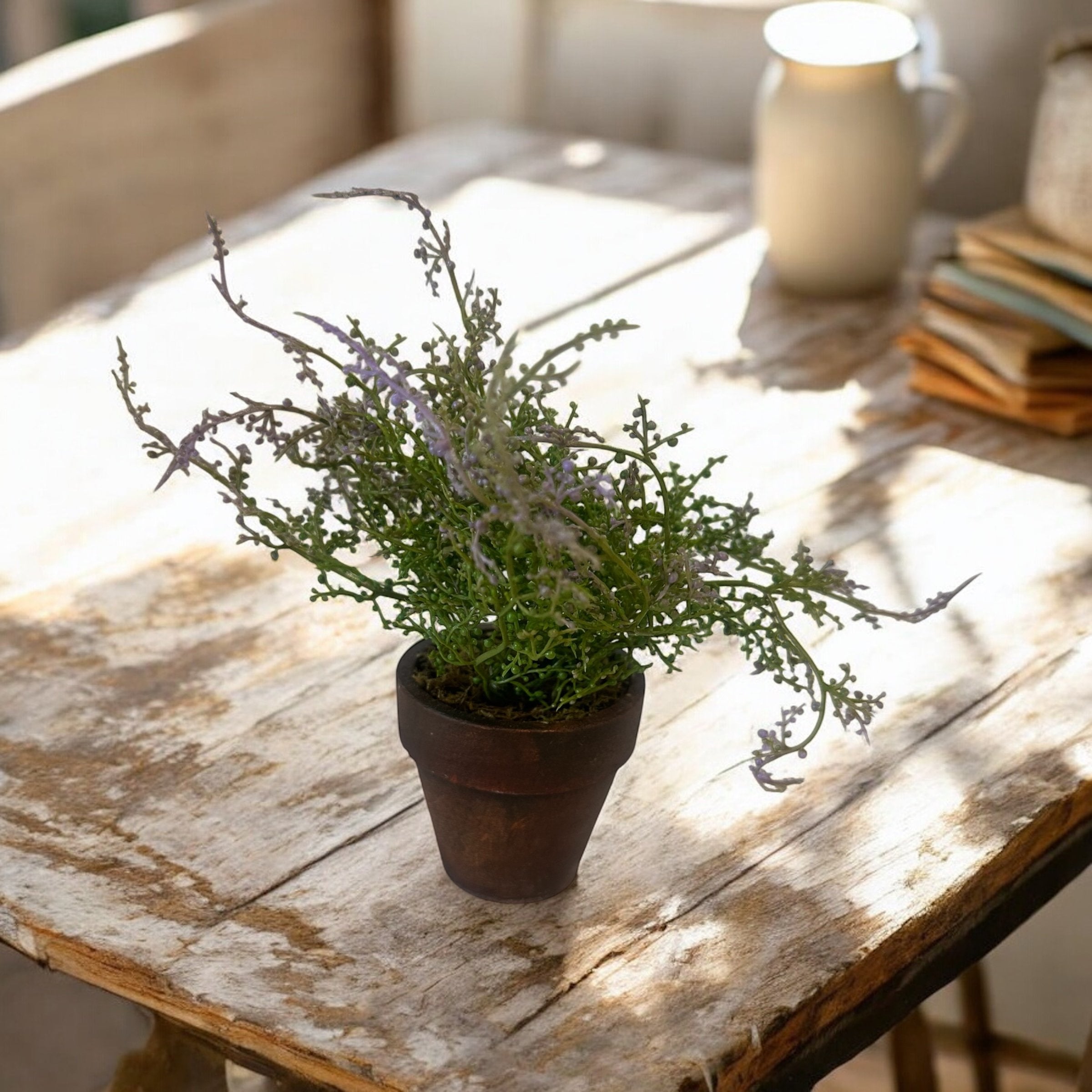 Florals - Potted Plants