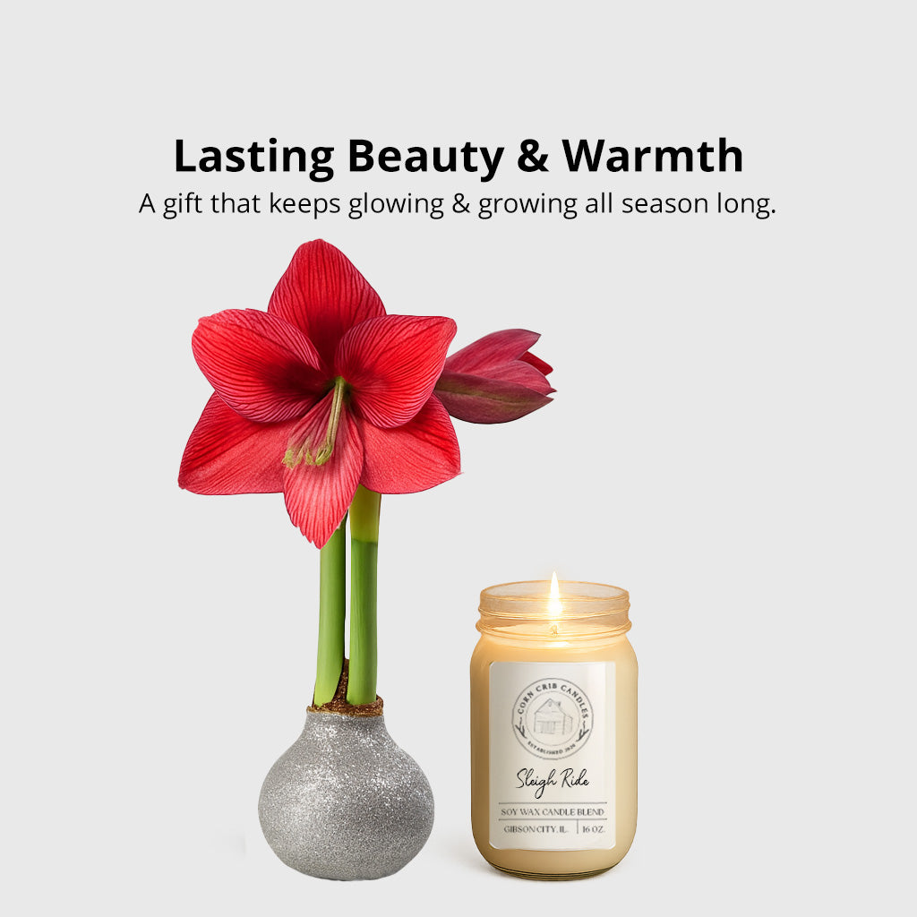 Season’s Glow & Grow Gift Duo - WINTER EDITION