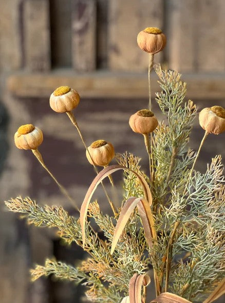 Fall - Stems
