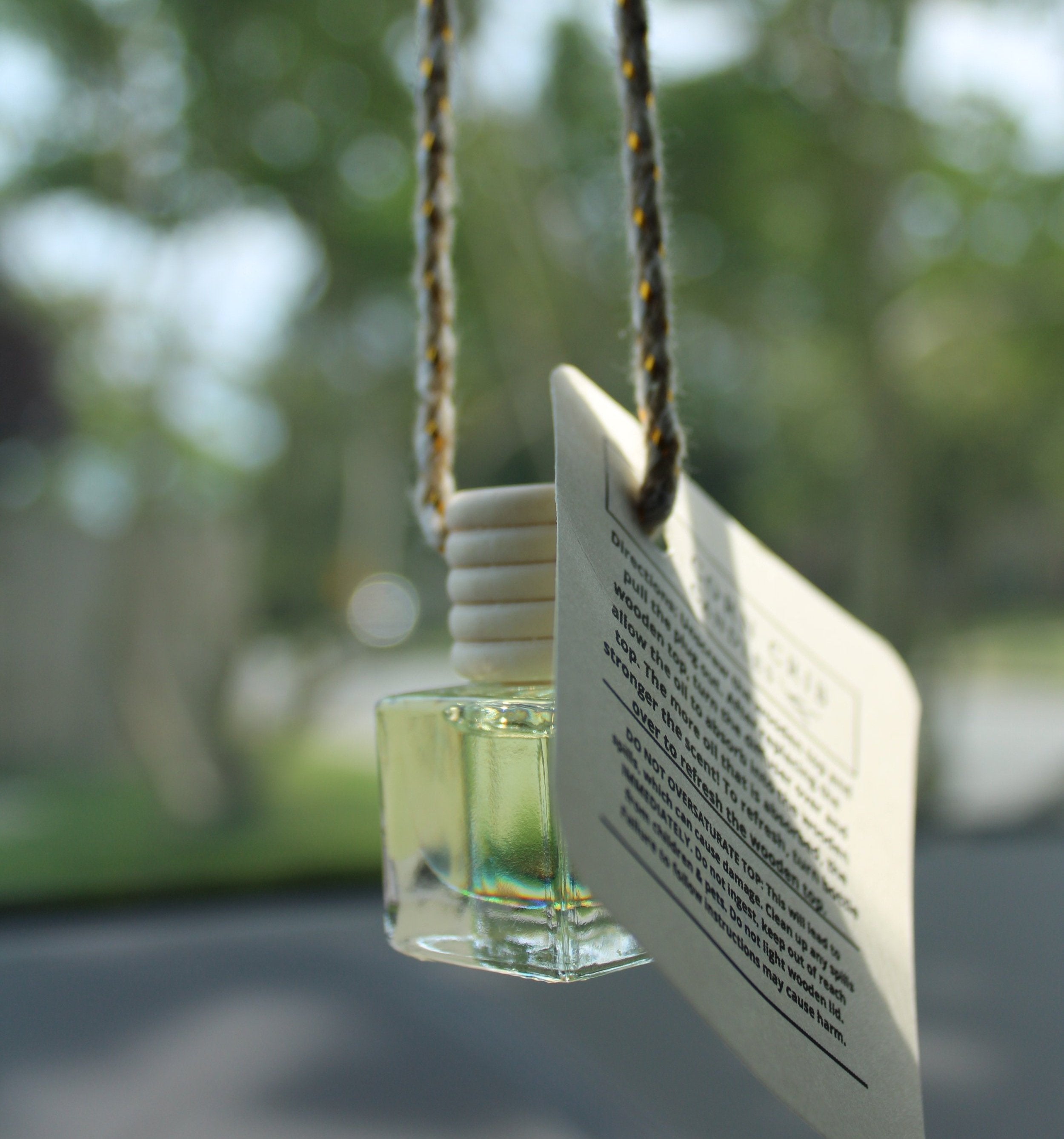 Sleigh Ride - Car Diffuser