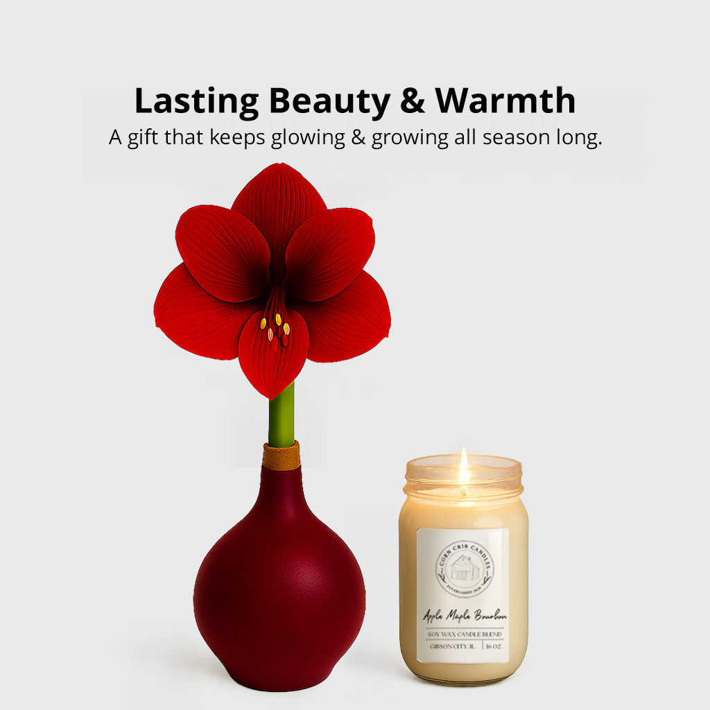 Season’s Glow & Grow Gift Duo - FALL EDITION
