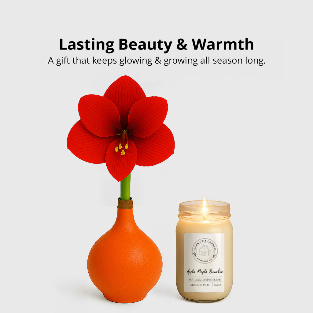 Season’s Glow & Grow Gift Duo - FALL EDITION