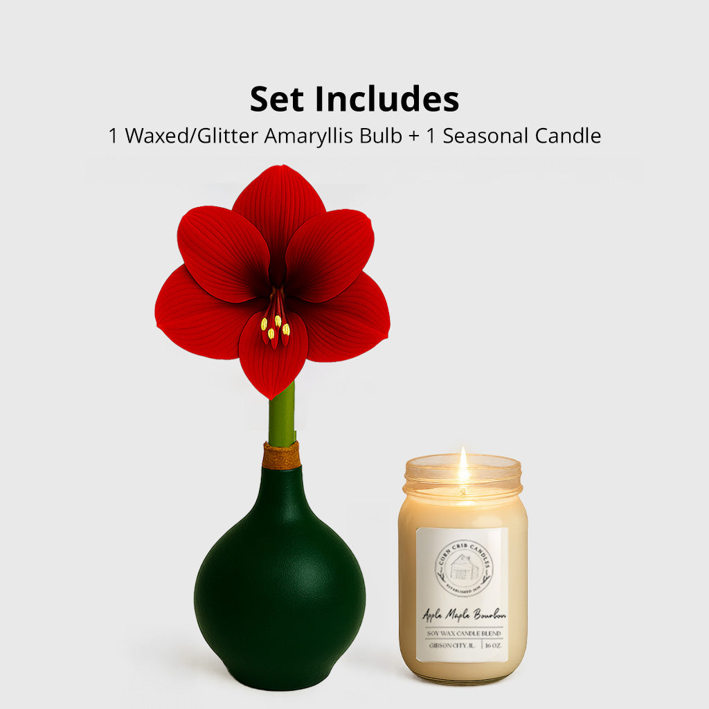 Season’s Glow & Grow Gift Duo - FALL EDITION