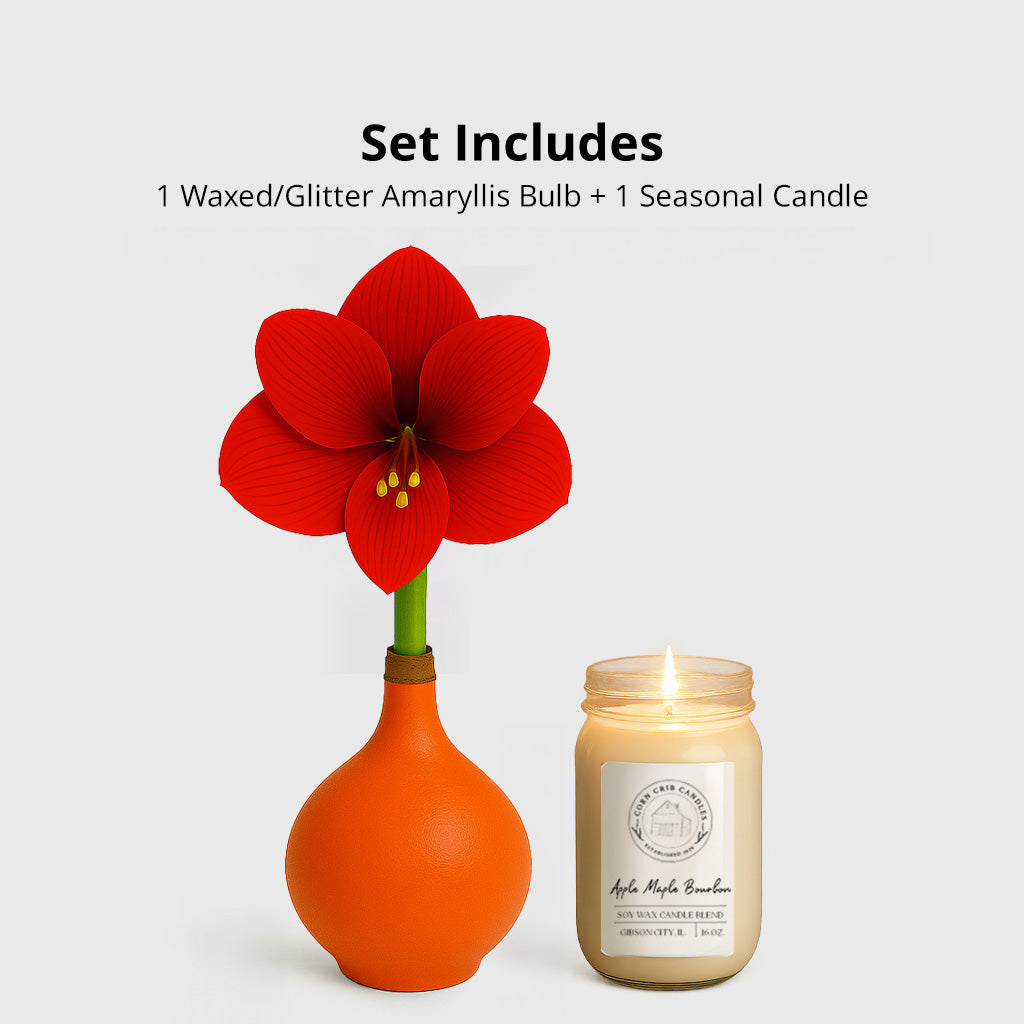 Season’s Glow & Grow Gift Duo - FALL EDITION