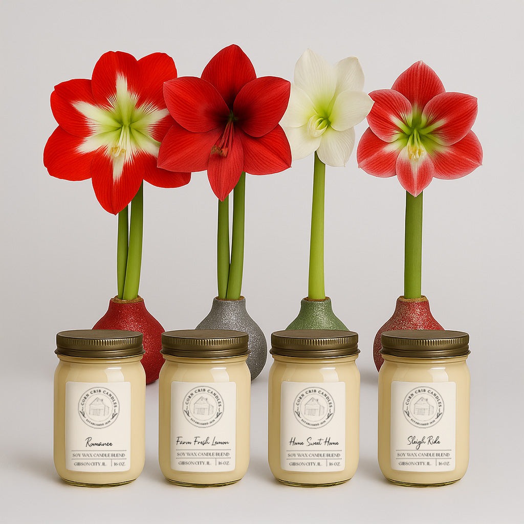 Season’s Glow & Grow Gift Duo - WINTER EDITION