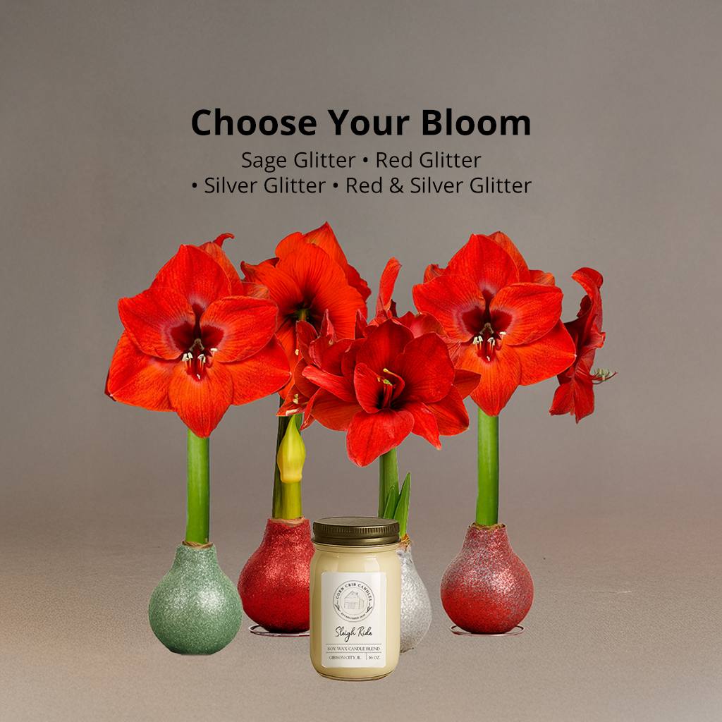 Season’s Glow & Grow Gift Duo - WINTER EDITION