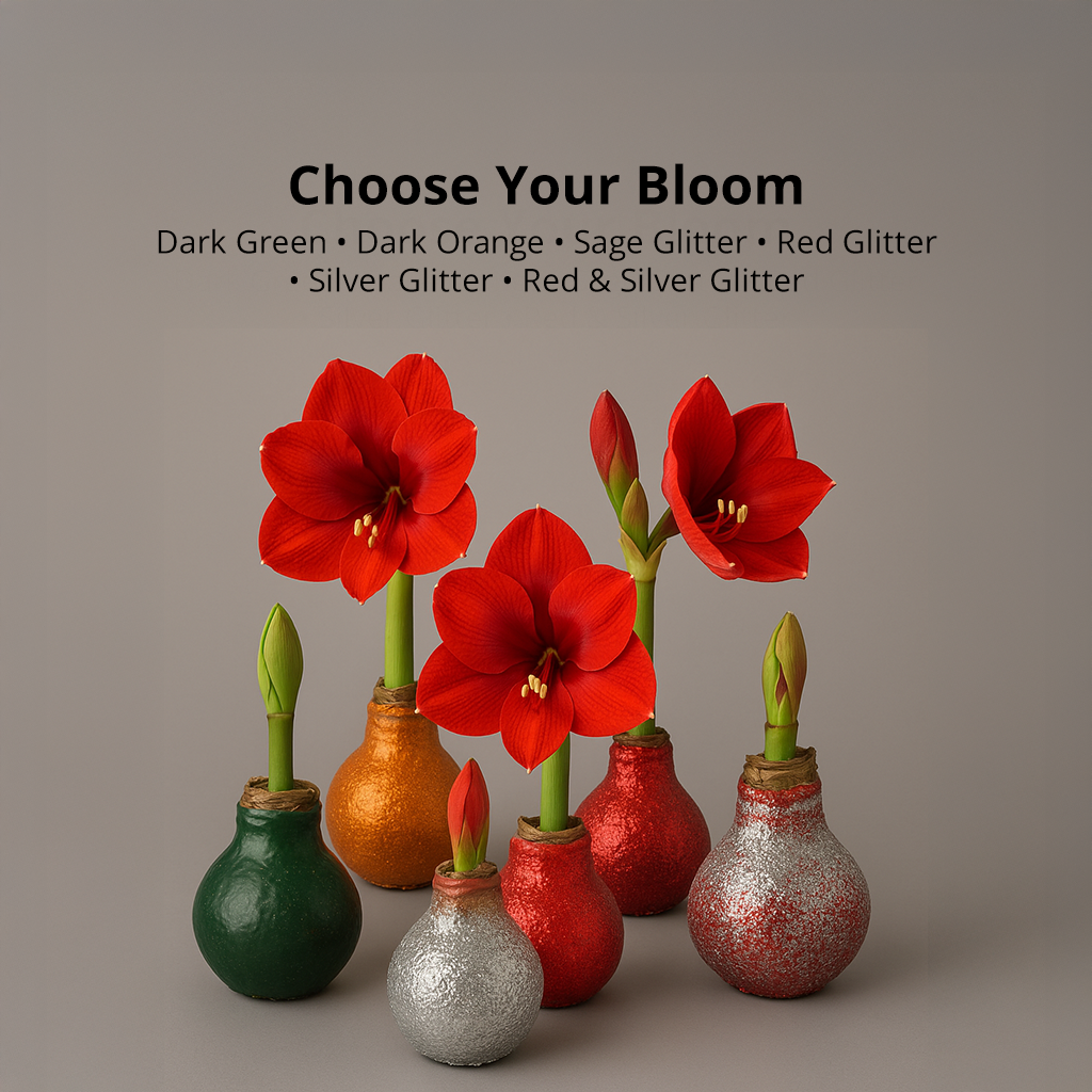 Season’s Glow & Grow Gift Duo - WINTER EDITION