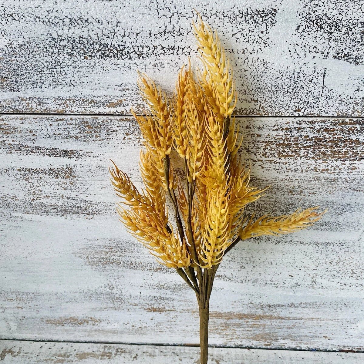 Florals - Stems - Corn Crib Candles