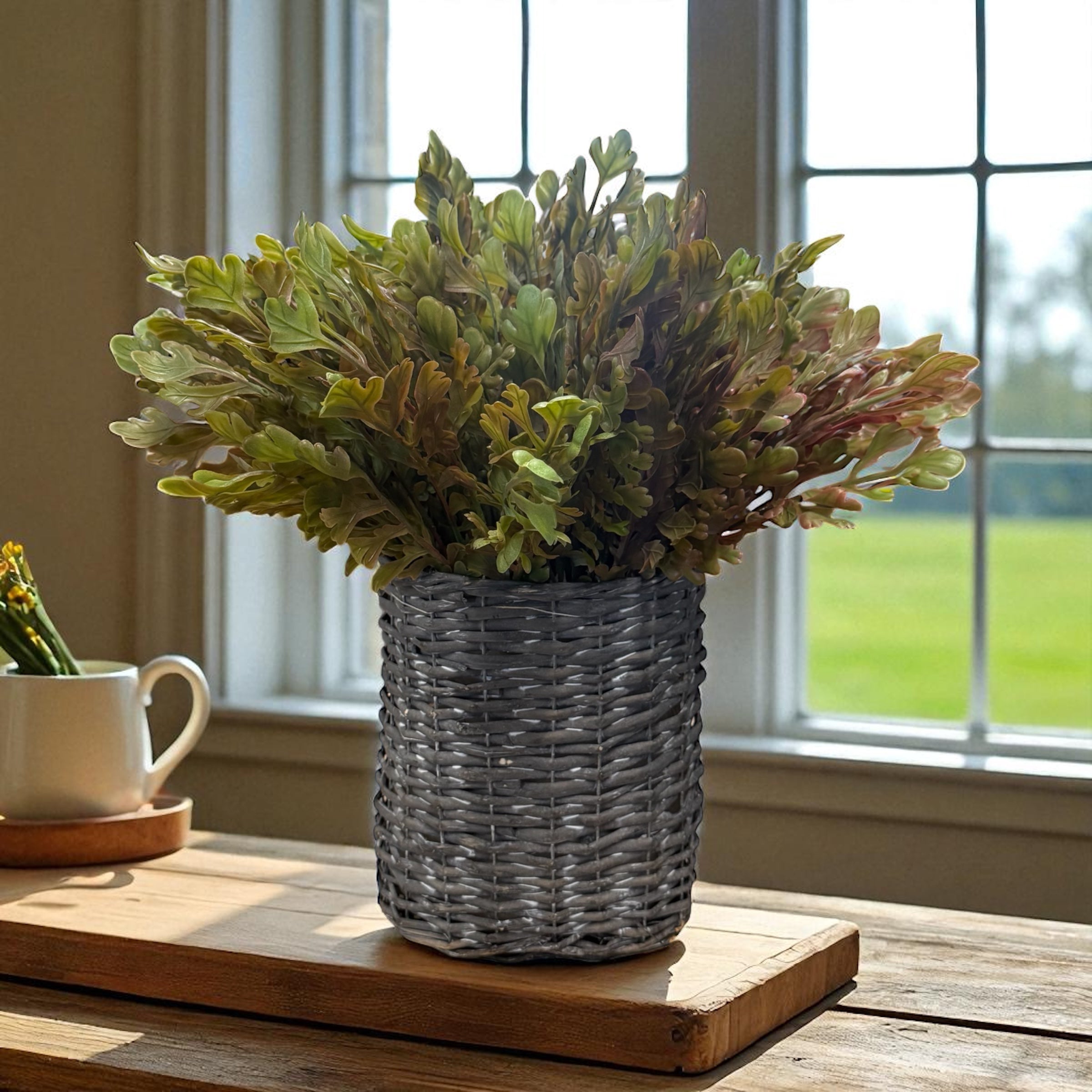 Fall - Stems