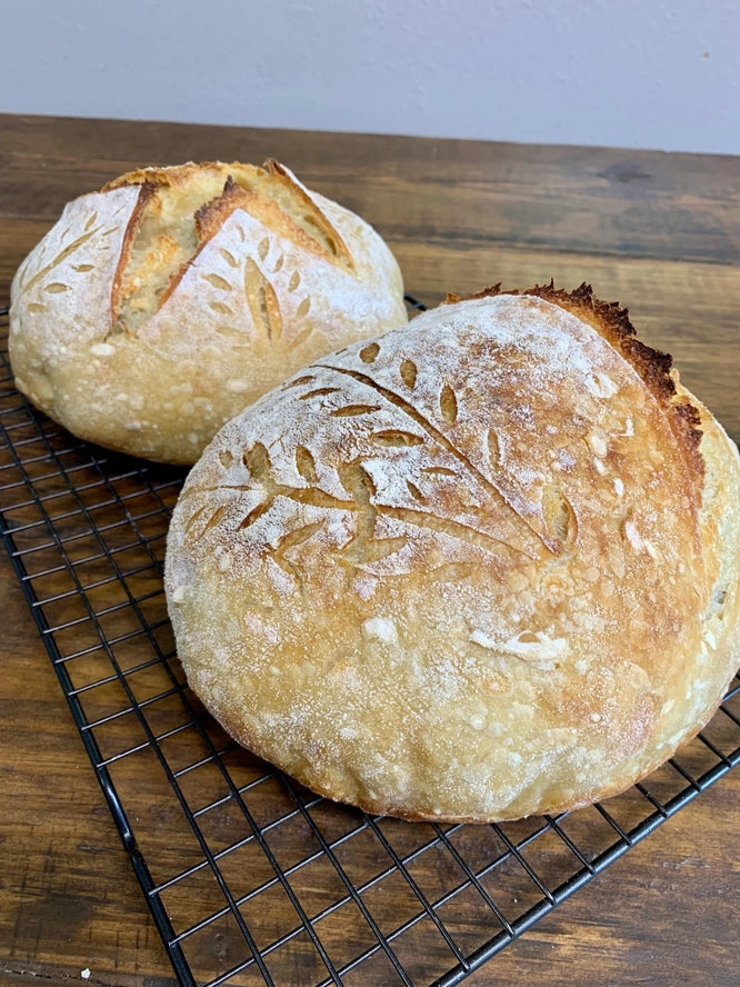 My Rustic Roots SourDough Starter