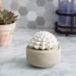 Succulent Porcelain Passive Diffuser - Corn Crib Candles