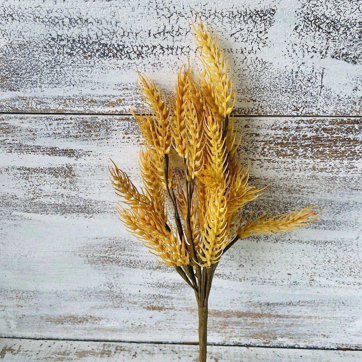 Florals - Stems